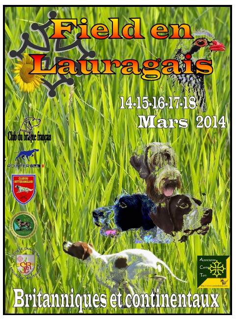 Des Pouzets - field trial du lauraguais REVEL 2014